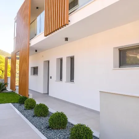 Ostracon PalaiónTsiflíkion