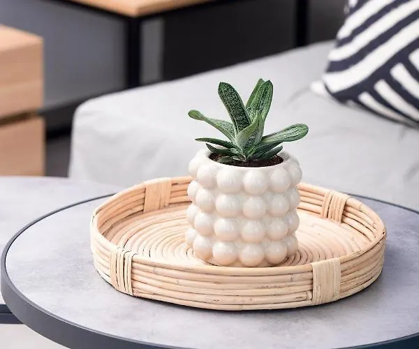 Ostracon Appartement PalaiónTsiflíkion