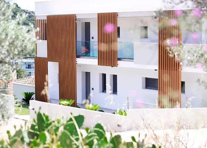 Ostracon PalaiónTsiflíkion