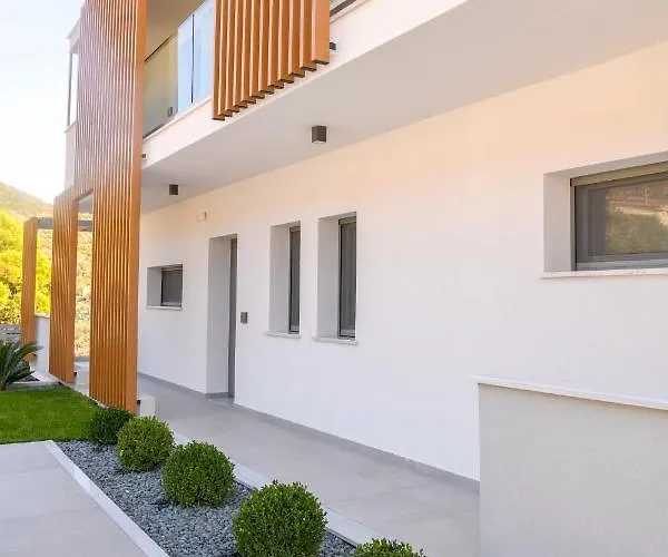 Ostracon PalaiónTsiflíkion